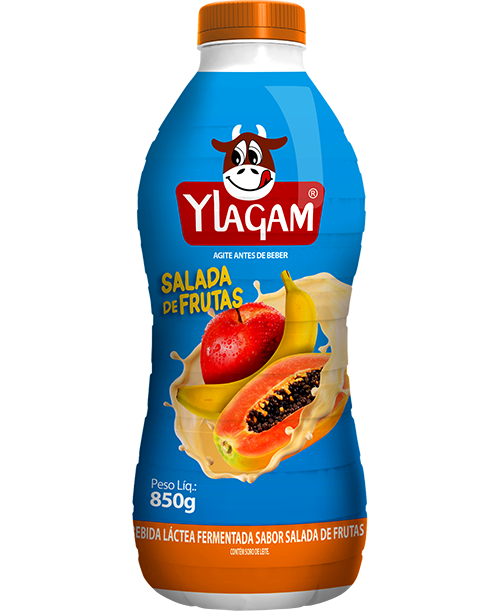 BEBIDA-LACTEA-SALADA01