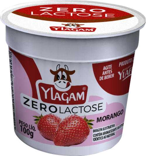 Iogurte YLAGAM 100g morango