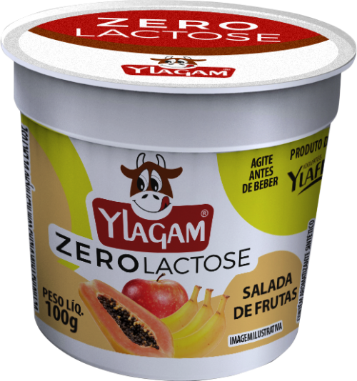 Iogurte YLAGAM 100g salada